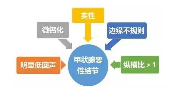 科普節(jié)|關于甲狀腺結(jié)節(jié)的風險評估,你了解嗎?